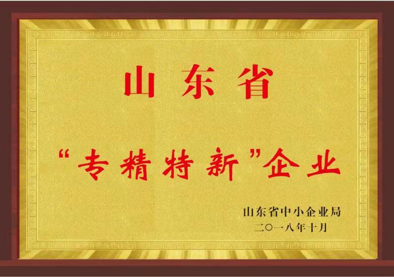 Shandong Province Manufacturing Industry Single Champion